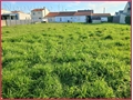 Terrain à bâtir à la vente